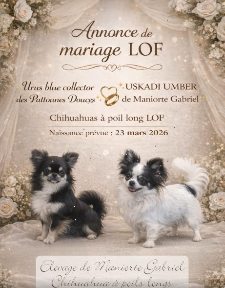 Un mariage prometteur