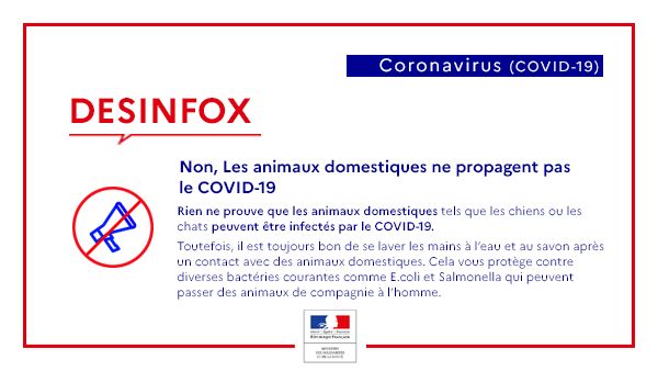 NON nos animaux ne propagent pas le COVID19